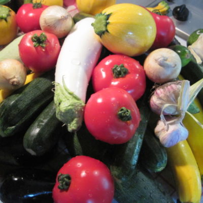 légumes bio de chez Jaimie et François La Carotte Sauvage à Trégrom